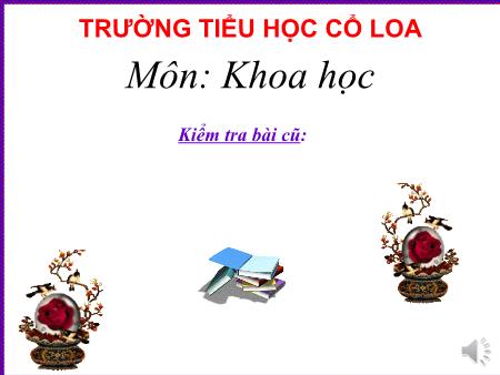 Bài giảng Khoa học Lớp 5 - Bài Cây con mọc lên từ đâu?