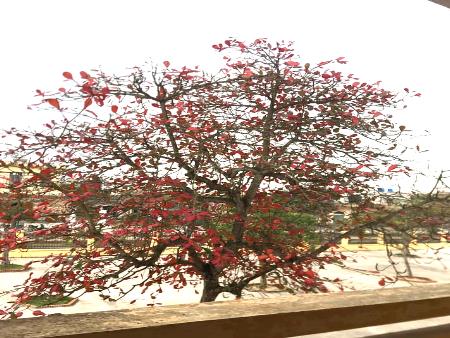 Bài giảng Hóa học 8 - Tiết 21: Sự nở vì nhiệt của các chất - Trường TH&THCS Trần Hưng Đạo