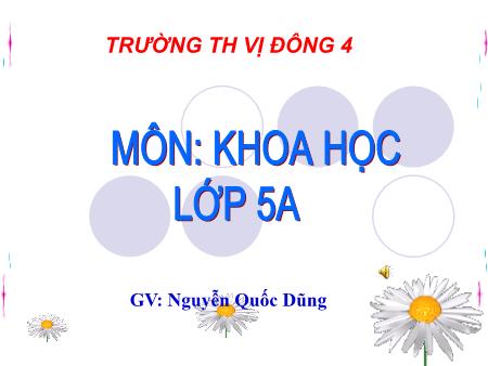 Bài giảng Khoa học Lớp 5 - Bài 26: Đá vôi - Nguyễn Quốc Dũng