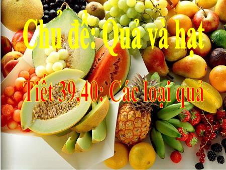 Bài giảng Sinh học 6 - Chủ đề: Quả và hạt - Tiết 39+40: Các loại quả