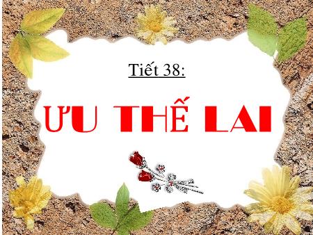 Bài giảng Sinh học Lớp 9 - Tiết 38: Ưu thế lai