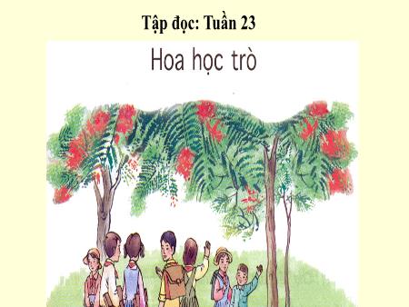 Bài giảng Tập đọc Lớp 4 - Tuần 23 - Bài: Hoa học trò