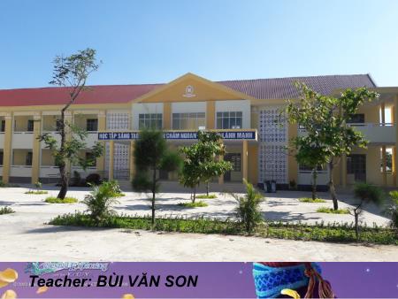 Bài giảng Tiếng Anh Lớp 9 - Unit 6: The environment - Lesson 5: Language focus