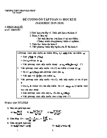 Đề cương ôn tập học kì II môn Toán Lớp 11 - Năm học 2019-2020 - Trường THPT Phan Bội Châu