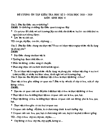 Đề cương ôn tập kiểm tra học kì I môn Sinh học Lớp 6 - Năm học 2018-2019 - Trường THCS&THPT Võ Nguyên Giáp