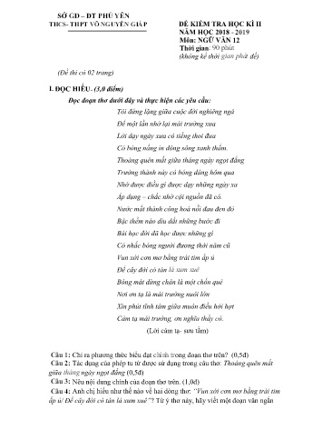Đề kiểm tra học kì II môn Ngữ văn Lớp 12 - Năm học 2018-2019 - Trường THCS&THPT Võ Nguyên Giáp (Có đáp án)
