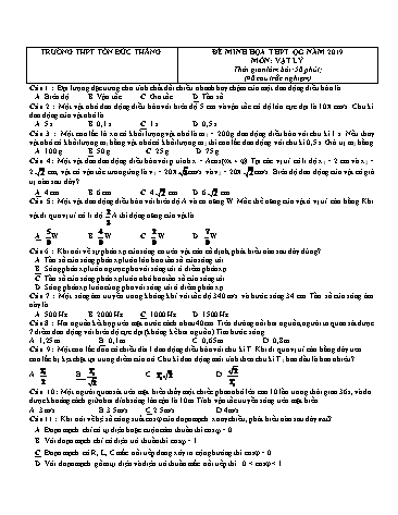 Đề minh họa THPT Quốc gia năm 2019 môn Vật lý - Trường THPT Tôn Đức Thắng (Có đáp án)