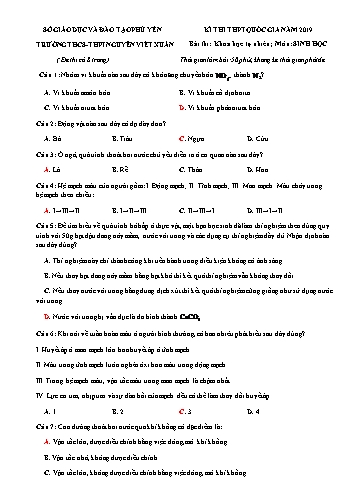 Đề tham khảo thi THPT Quốc gia năm 2019 môn Sinh học - Trường THCS-THPT Nguyễn Viết Xuân (Có đáp án)