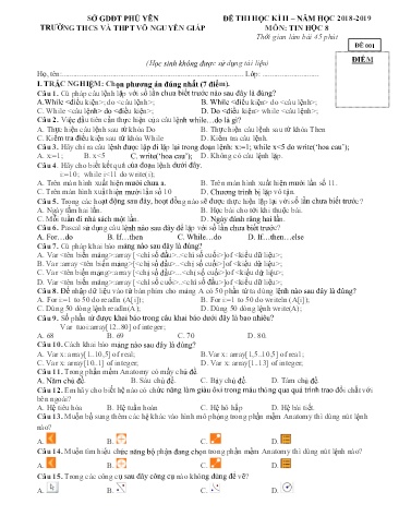 Đề thi học kì II môn Tin học Lớp 8 - Năm học 2018-2019 - Trường THCS&THPT Võ Nguyên Giáp (Có đáp án)