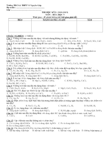 Đề thi học kỳ I môn Hóa học 9 - Năm học 2018-2019 - Trường THCS&THPT Võ Nguyên Giáp (Có đáp án)