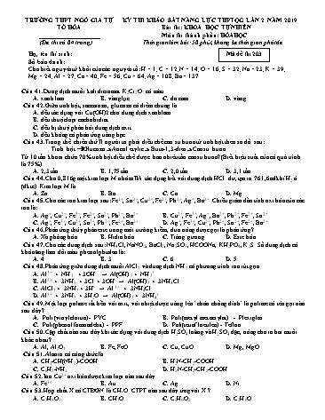 Đề thi khảo sát năng lực THPT Quốc gia lần 2 năm 2019 môn Hóa học - Trường THPT Ngô Gia Tự - Mã đề thi 203 (Có đáp án)
