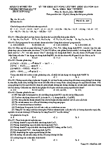 Đề thi khảo sát năng lực THPT Quốc gia năm 2019 môn Hóa học - Trường THPT Ngô Gia Tự - Mã đề 304 (Có đáp án)