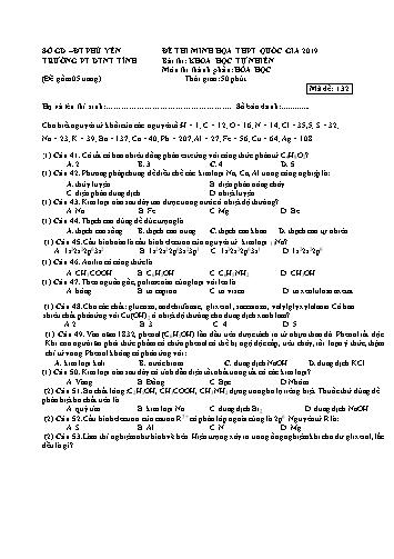 Đề thi minh họa THPT Quốc gia năm 2020 môn Hóa học - Trường PT DNNT tỉnh Phú Yên (Có đáp án)