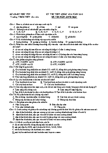 Đề thi tham khảo THPT Quốc gia năm 2019 môn Sinh học - Trường THCS-THPT Chu Văn (Có đáp án)