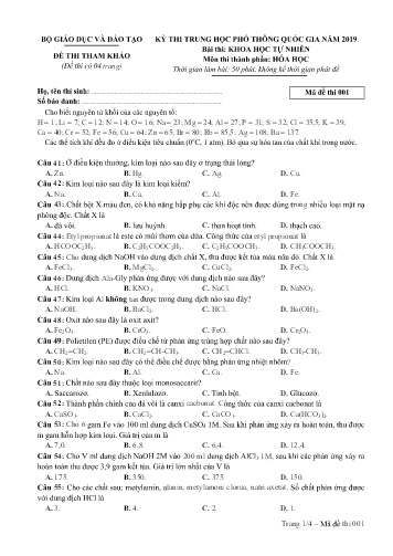 Đề thi tham khảo Trung học Phổ thông Quốc gia năm 2019 môn Hóa học - Trường THPT Phan Bội Châu