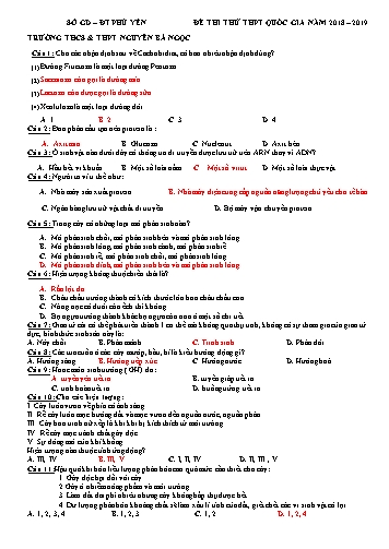 Đề thi thử THPT Quốc gia môn Sinh học - Năm học 2018-2019 - Trường THCS & THPT Nguyễn Bá Ngọc (Có đáp án)