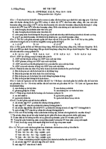 Đề thi thử THPT Quốc gia môn thi Sinh học - Năm học 2019-2020 - Trường THPT Lê Hồng Phong (Có đáp án)
