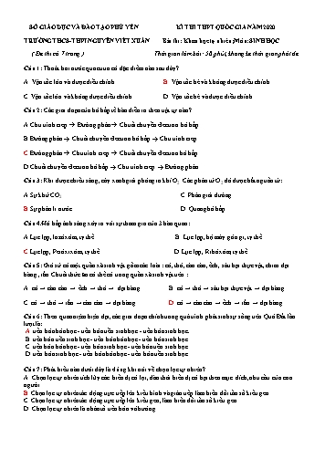 Đề thi thử THPT Quốc gia năm 2020 môn Sinh học - Trường THCS-THPT Nguyễn Viết Xuân (Có đáp án)
