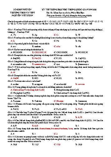 Đề thi thử Trung học Phổ thông Quốc gia năm 2020 môn Hóa học - Trường THCS và THPT Nguyễn Viết Xuân (Có đáp án)