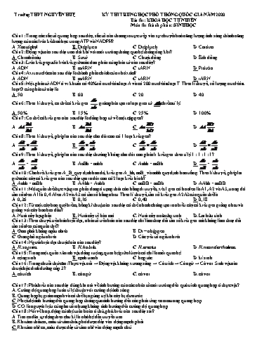 Đề thi thử Trung học Phổ thông Quốc gia năm 2020 môn Sinh học - Trường THPT Nguyễn Huệ