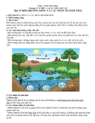 Giáo án Địa lí Lớp 12 - Phần 7: Sinh thái học - Chương 1: Cá thể và quần thể sinh vật - Bài 35: Môi trường sống và các nhân tố sinh thái