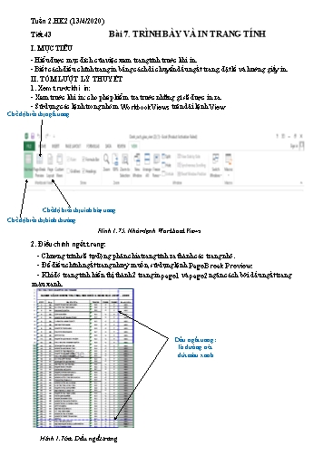 Giáo án Tin học Lớp 7 - Tiết 43+44, Bài 7: Trình bày và in trang tính