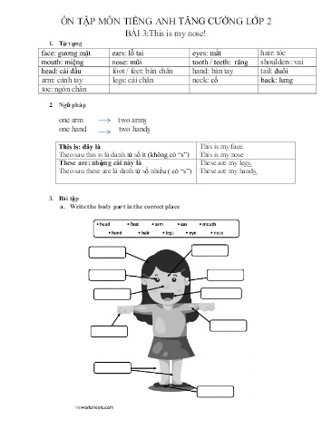 Ôn tập môn Tiếng Anh tăng cường Lớp 2 - Bài 3: This is my nose!